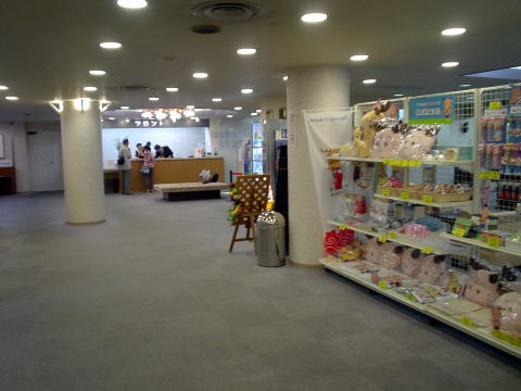 ����{����@����ۂ̏h�ޗǁy�����s���z