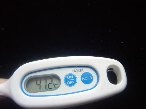 ����{����@����ۂ̏h�ޗǁy�����s���z