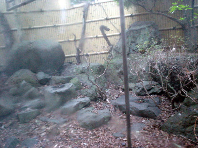 犬鳴山温泉　犬鳴温泉センター【温泉奉行所】