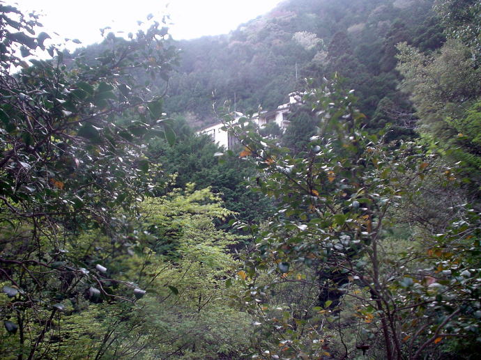 犬鳴山温泉　山乃湯【温泉奉行所】