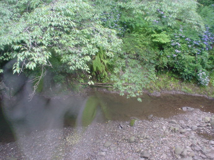 �_�ʉ���y�����s���z