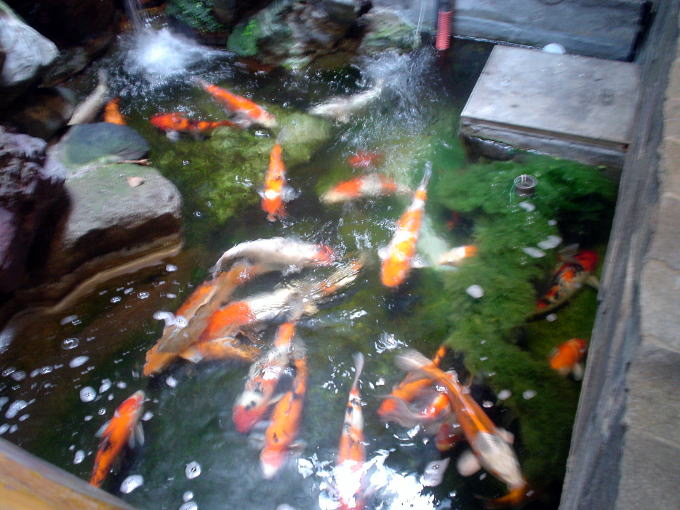 �֍����y�����s���z