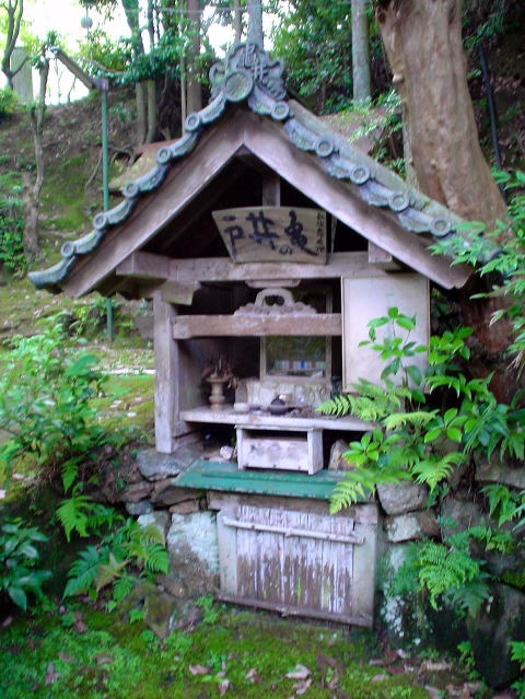 �T�̈�z��y�����s���z