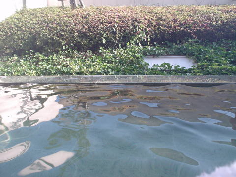 �T�R����@�����̓��y�����s���z