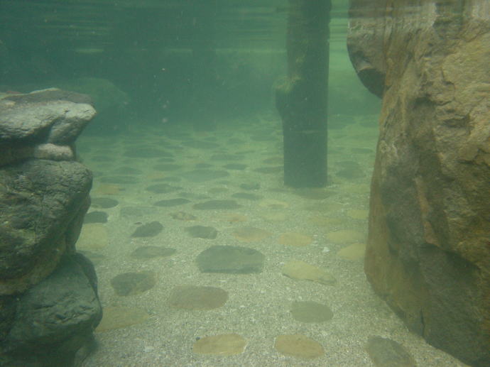 �㓒����@�_�����y�����s���z