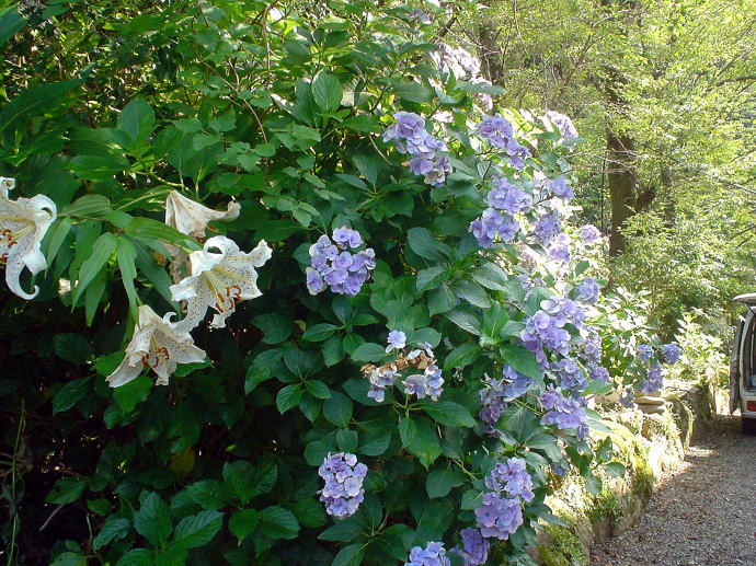 �㓒����@�_�����y�����s���z