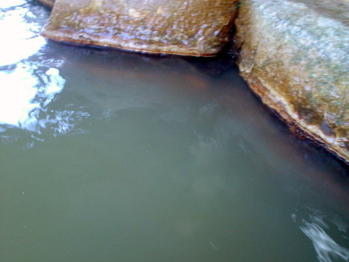 ����̋��@���N�V���y�����s���z