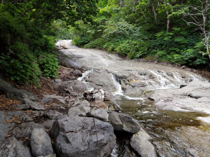 �J���C���b�J���̑�y�����s���z