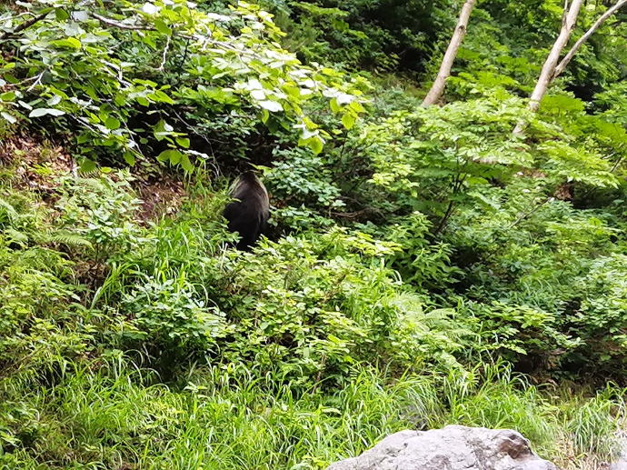 �J���C���b�J���̑�y�����s���z