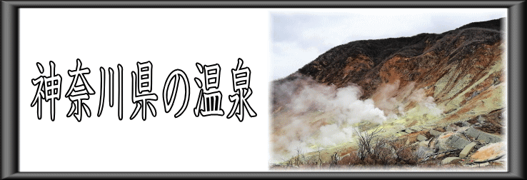 �_�ސ쌧�̉���y�����s���z