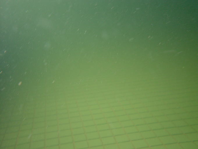 �Љ����� �V��̋��y�����s���z