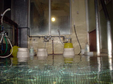 �쌴������@���c���y�����s���z