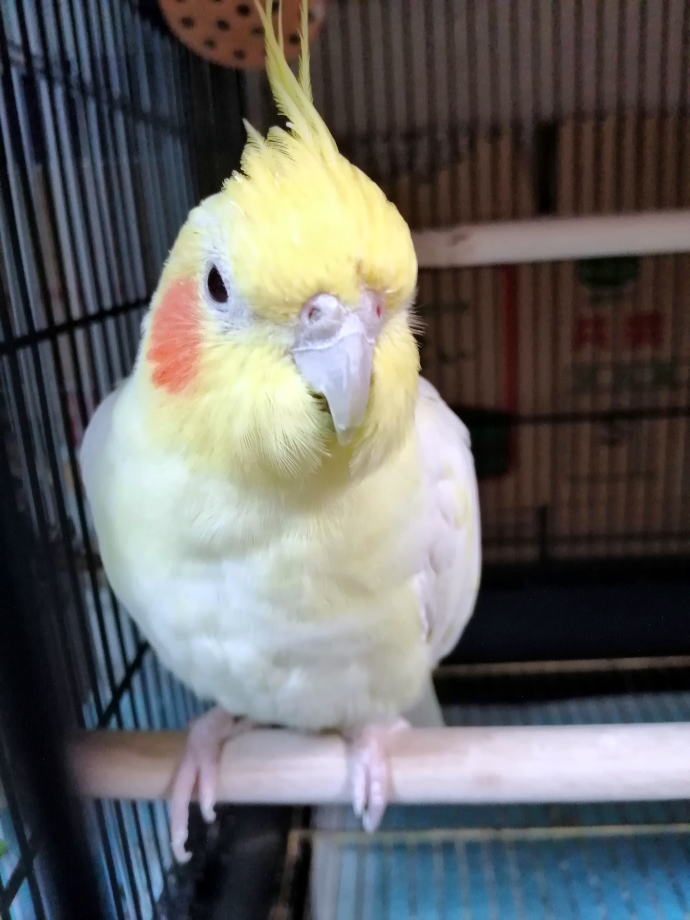 小又川温泉　民宿せせらぎ【温泉奉行所】