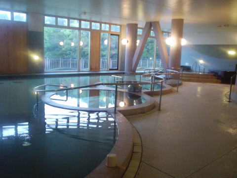 ��\�㓇����Ԃ݂���SASPA