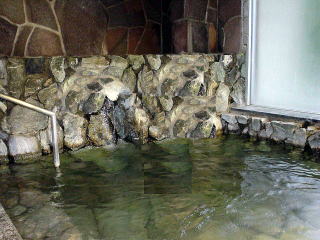 �w�_������ ���x�̓��y�����s���z