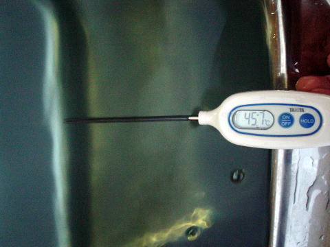 ���c�쉷��@�����̓� �y�����s���z