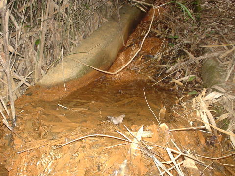 ���s�{�@���s�{�암�@�z��N�o�n�y�����s���z