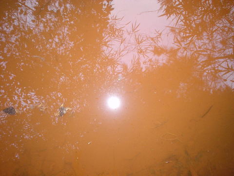 ���s�{�@���s�{�암�@�z��N�o�n�y�����s���z