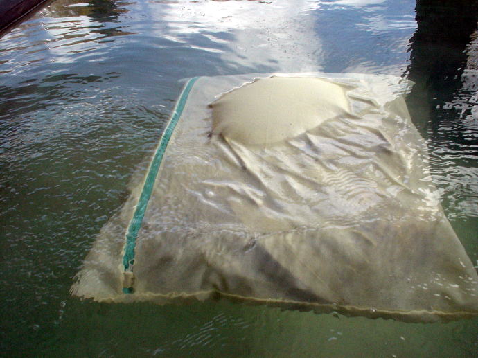 ��������@���i�ځy�����s���z