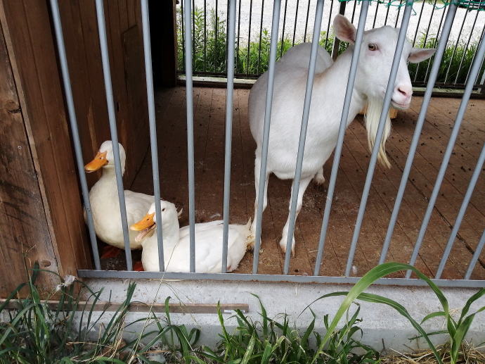 松葉温泉　滝の湯【温泉奉行所】