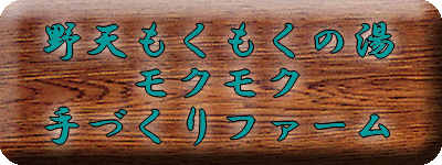 ���N���N����@��V���������̓�