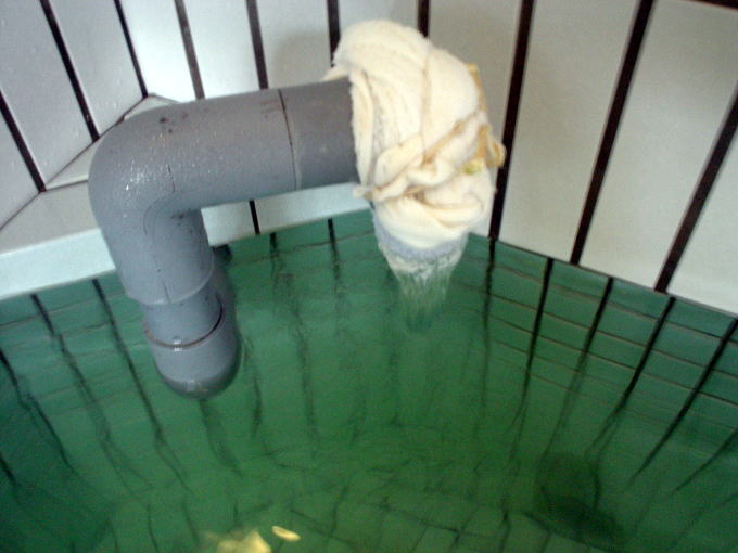 ��c�쉷��@�V�R����Ȃׂ���y�����s���z