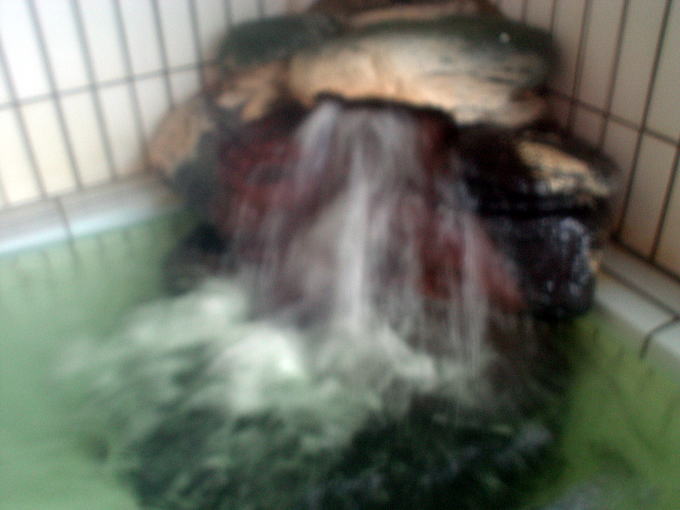 ��c�쉷��@�V�R����Ȃׂ���y�����s���z