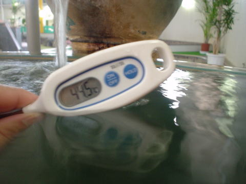 ��������@�N�A�n�E�X�����y�����s���z