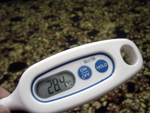 ��������@�N�A�n�E�X�����y�����s���z