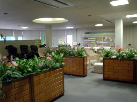 ��������@�N�A�n�E�X�����y�����s���z