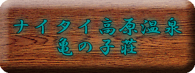 �i�C�^�C�������� �T�̎q��