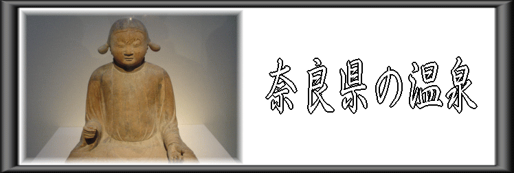 �ޗǌ��̉���y�����s���z