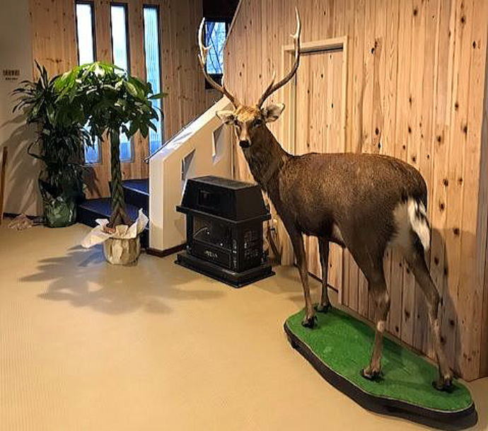 �ʂ��т猹�򋽁@�����فy�����s���z