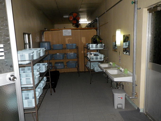 �f������@�����فy�����s���z