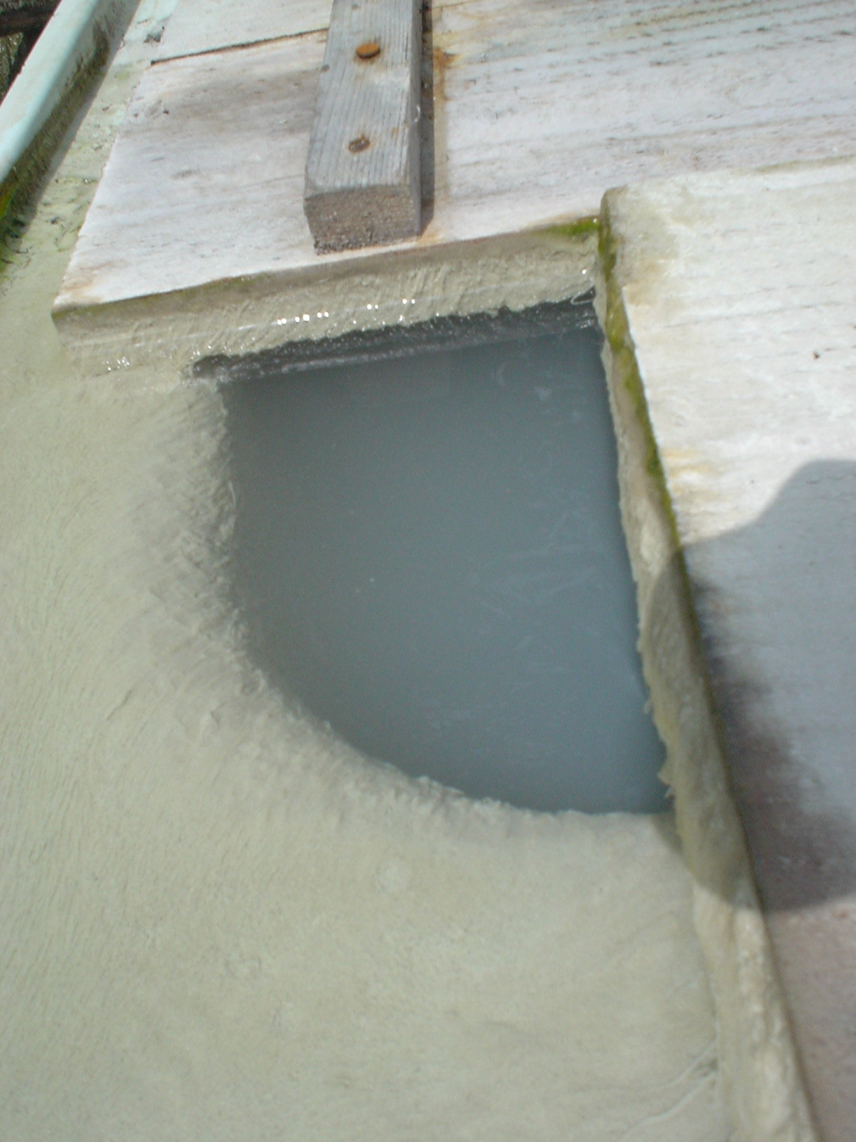 ��D���� ���T���y�����s���z