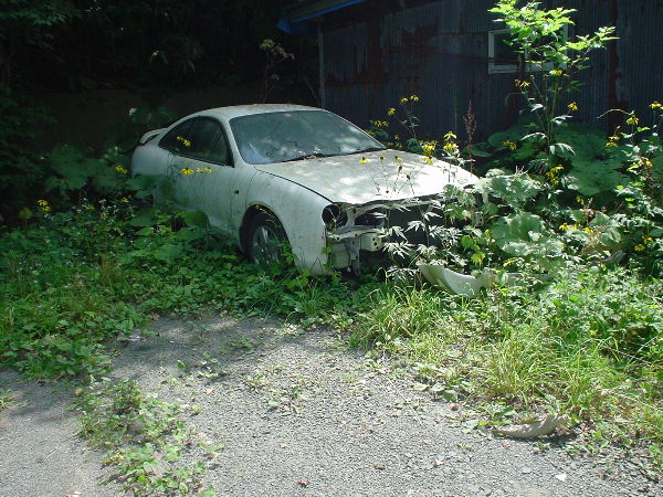 ��D���� ���T���y�����s���z