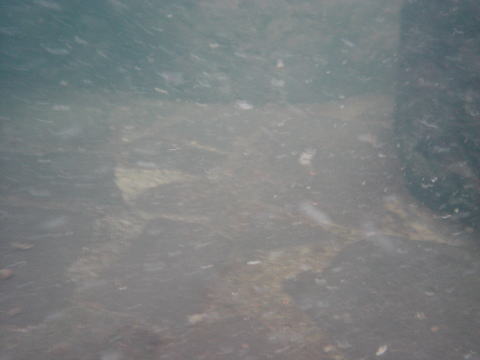 ��������@���C�Z���^�[�y�����s���z