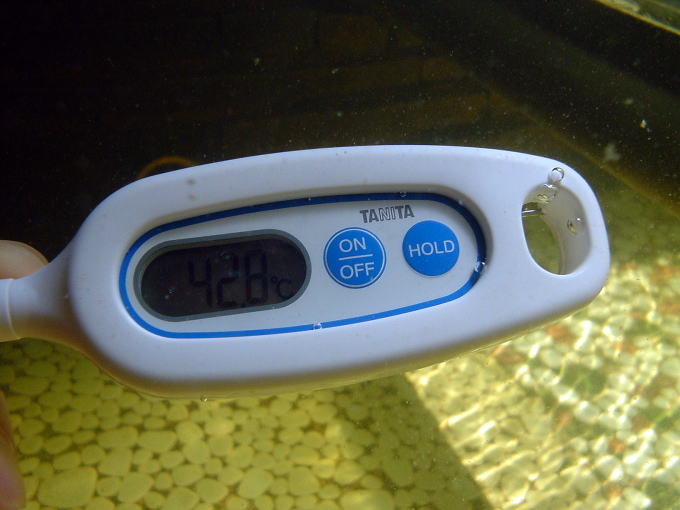 ���R�c����@�҂����R�c�y�����s���z