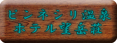 �s���l�V������ �z�e���]�x���y�����s���z