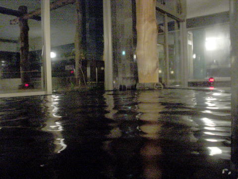 ���W�����l����@���l���[���V�A�y�����s���z