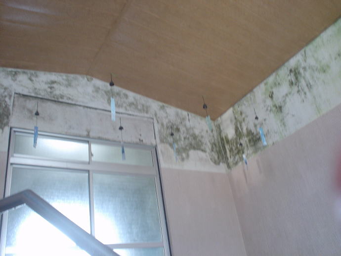 �O�r����@�T�̓��y�����s���z