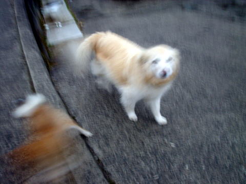 �R��C����y�����s���z