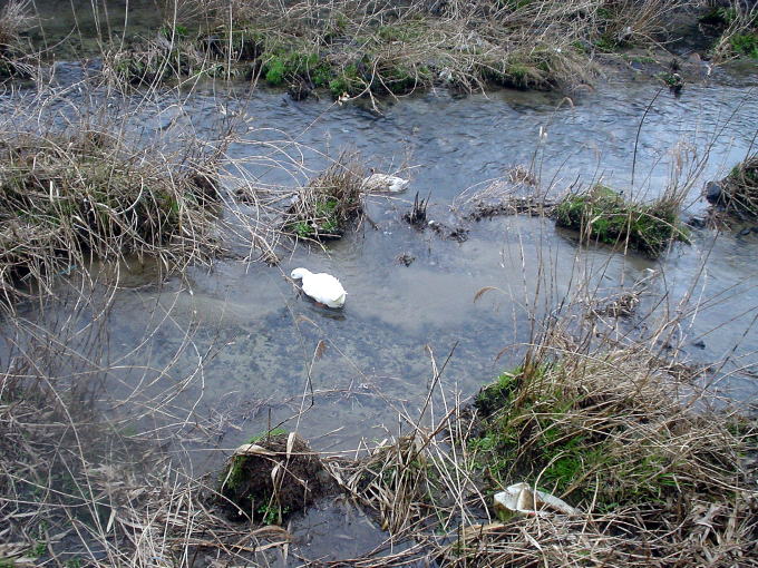 �R��C����y�����s���z