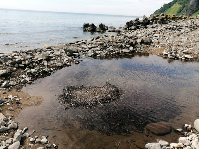 ���Ή���y�����s���z