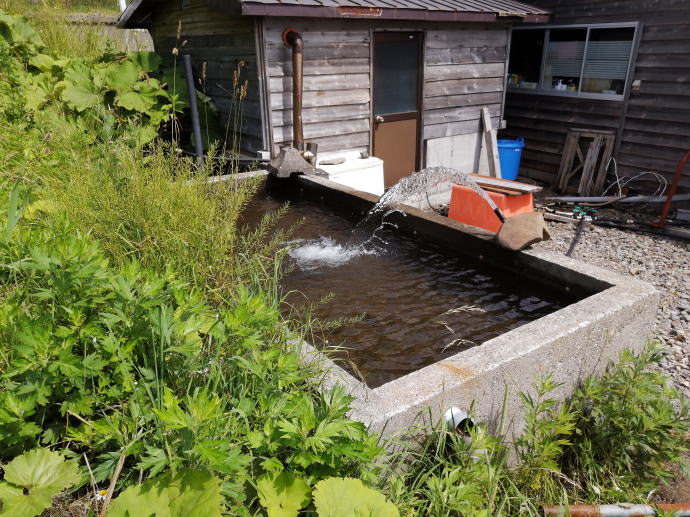 ���Ή���y�����s���z