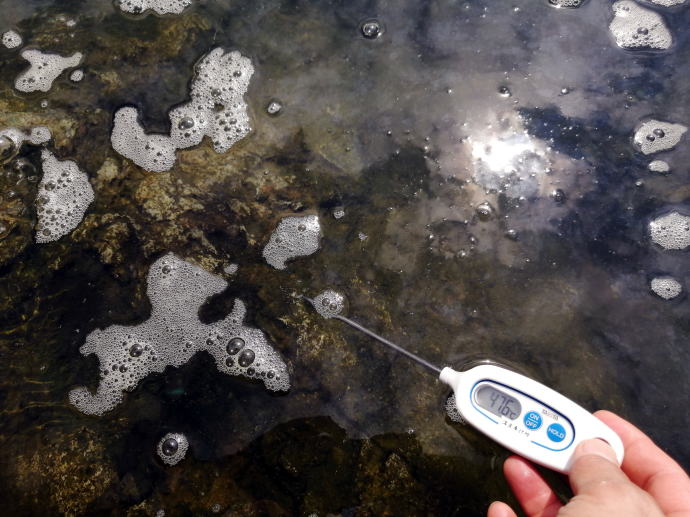 ���Ή���y�����s���z