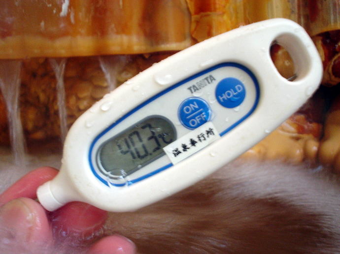 ���V�g����@�R�����y�����s���z