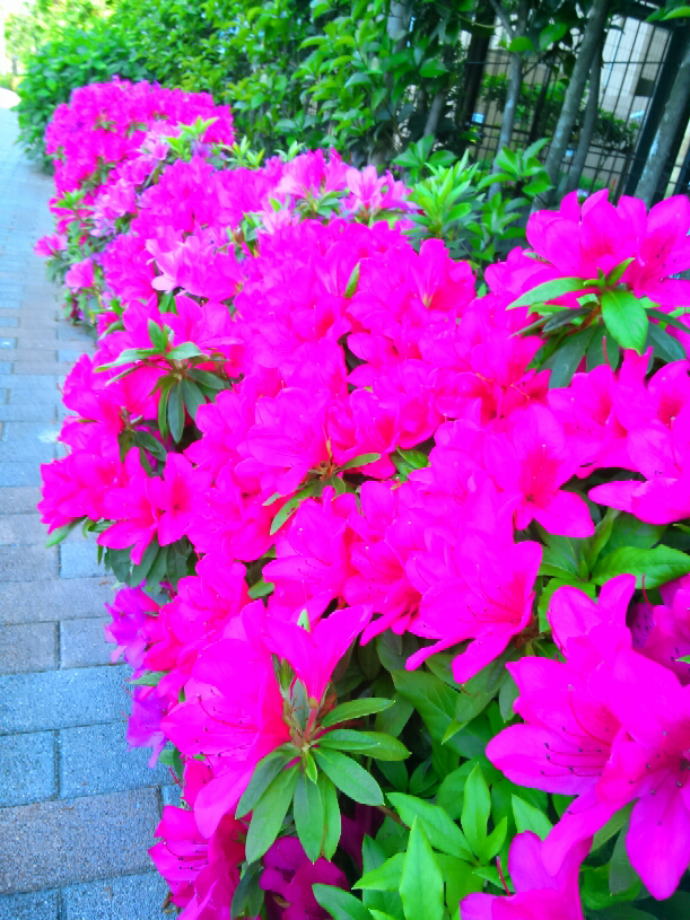 志宜野華厳温泉【温泉奉行所】