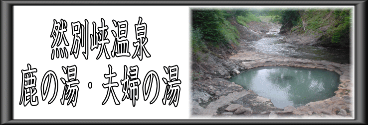 �R�ʋ�����@���̓��E�v�w�̓��y�����s���z