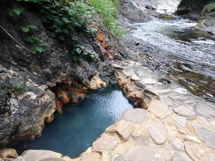 �R�ʋ�����@���̓��E�v�w�̓��y�����s���z